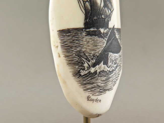 Fossil Walrus Tooth Scrimshaw Whale's Tail - Click Image to Close