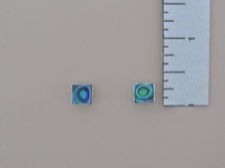 Abalone Square Posts