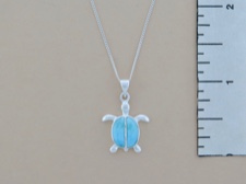 Larimar Sea Turtle