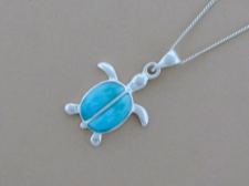 Larimar Sea Turtle