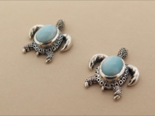 Larimar Turtle Post