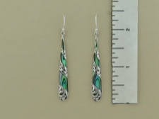 Abalone Long Tear