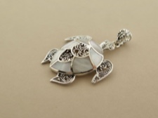 Ornate Turtle