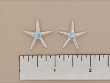 Larimar Starfish Posts