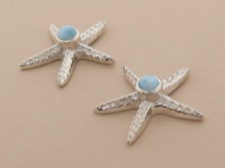 Larimar Starfish Posts