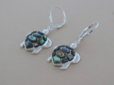 Abalone Turtles