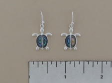 Abalone Turtle Dangles