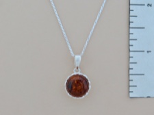 Amber Round Necklace
