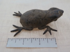 Burkina Faso Bobo Tribe Bronze Frog Totem