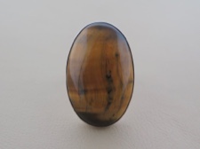 1 and Only Tigers Eye