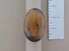 1 and Only Tigers Eye