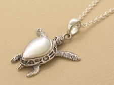 Mother of Pearl Turtle