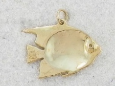 Angelfish Pendant 14k