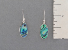 Abalone Oval Earrigns