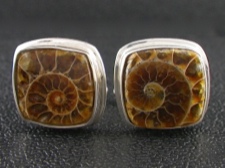Cufflinks - Ammonite