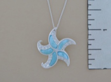 Larimar Starfish