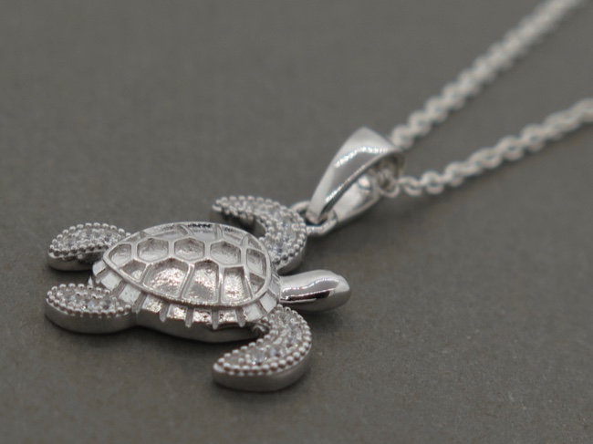 A Precious Sea Turtle - Click Image to Close