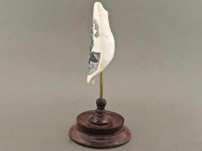 Fossil Walrus Tooth Scrimshaw Whale's Tail - Click Image to Close