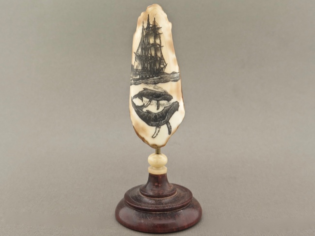 Fossil Walrus Tooth Scrimshaw from Alaska - Click Image to Close