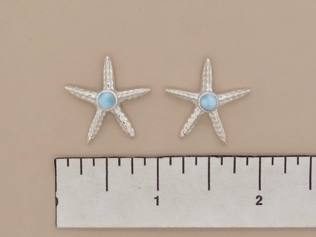 Larimar Starfish Posts - Click Image to Close