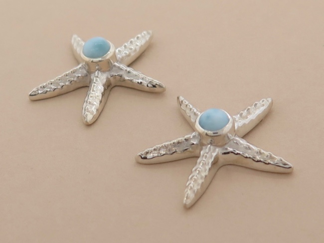 Larimar Starfish Posts - Click Image to Close