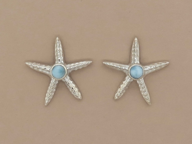 Larimar Starfish Posts - Click Image to Close