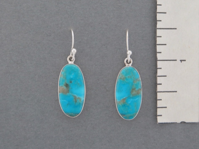 Turquoise Ovals - Click Image to Close