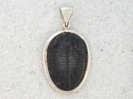 Fossil Trilobite Pendant - Click Image to Close