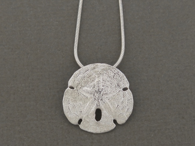A Classic Sand Dollar - Click Image to Close