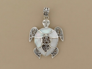 Ornate Turtle