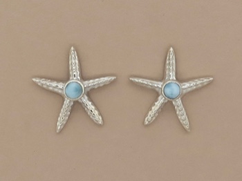 Larimar Starfish Posts