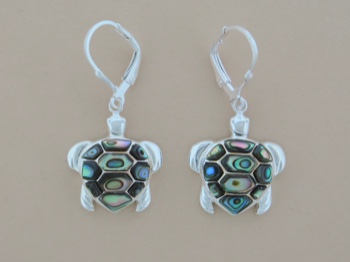 Abalone Turtles