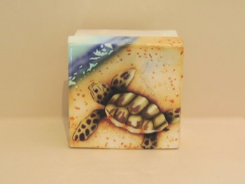 Capiz Shell Airbrushed Baby Turtle Hatchling